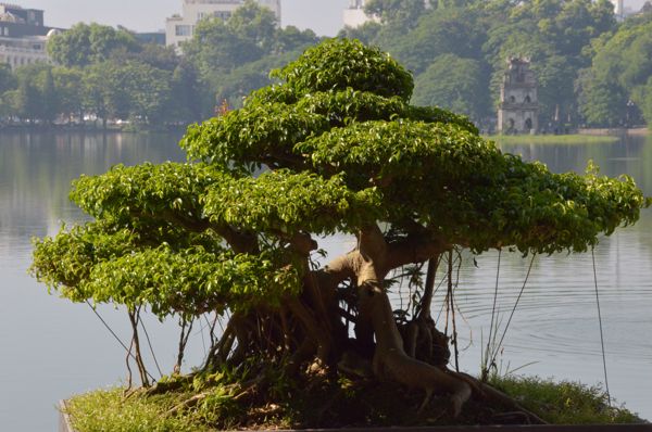 2017_Vietnam-002