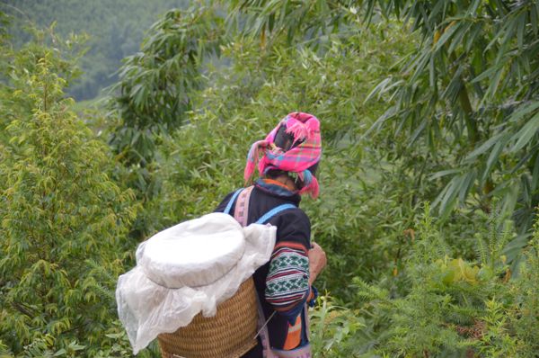 2017_Vietnam-031