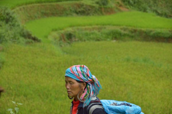 2017_Vietnam-033