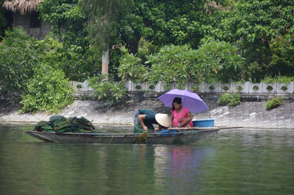 2017_Vietnam-077