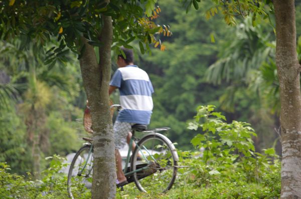 2017_Vietnam-092